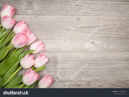 Цветы_303