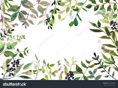 Цветы_315