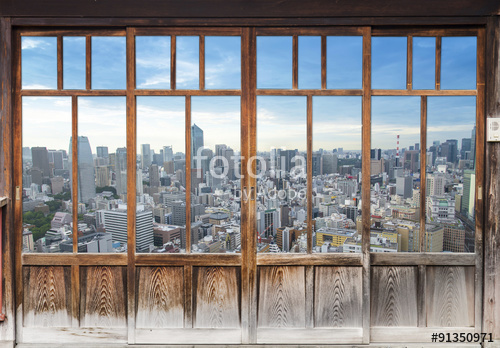 WIDOK PRZEZ OKNO/DRZWI_20