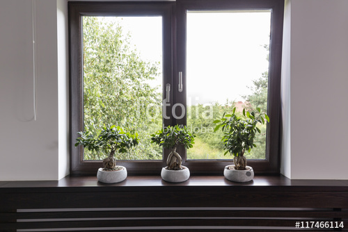 WIDOK PRZEZ OKNO/DRZWI_41