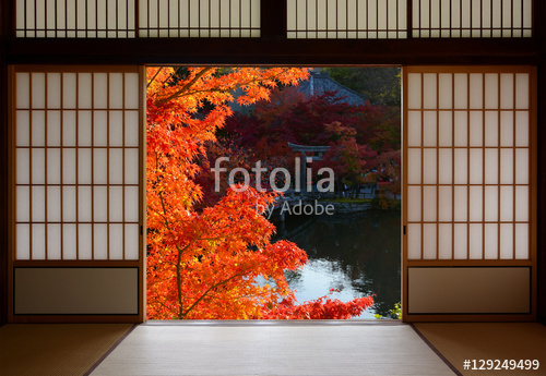 WIDOK PRZEZ OKNO/DRZWI_62