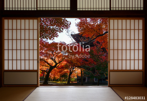 WIDOK PRZEZ OKNO/DRZWI_63