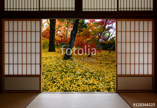 WIDOK PRZEZ OKNO/DRZWI_64