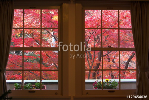 WIDOK PRZEZ OKNO/DRZWI_66