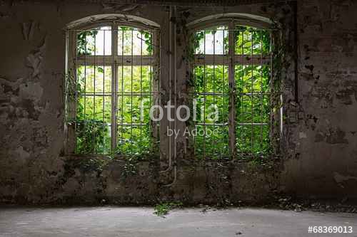 WIDOK PRZEZ OKNO/DRZWI_6