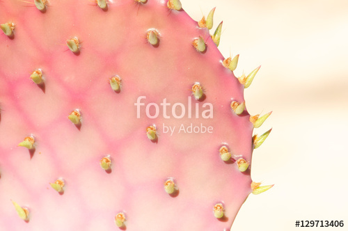 Растительность_182