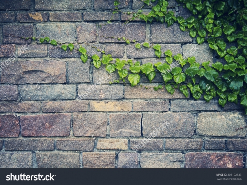 Растительность_251