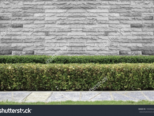 Растительность_269