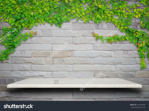 Растительность_287